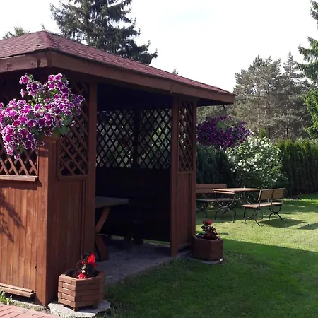 Проживание в семье U Martuski Pod Lasem *